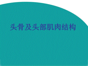 头骨及头部肌肉结构.ppt