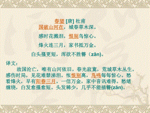心脏第一课时.ppt