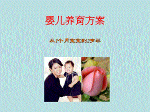 婴儿养育方案名师编辑PPT课件.ppt