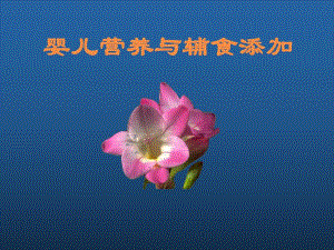 婴儿营养与辅食添加名师编辑PPT课件.ppt