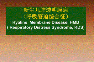 新生儿肺透明膜病HMD.ppt