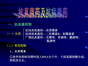 抗真菌药及抗病毒药名师编辑PPT课件.ppt