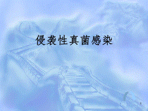 抗真菌药物ppt课件.ppt