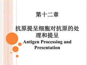 抗原提呈细胞对抗原的处理及提呈PPT.ppt