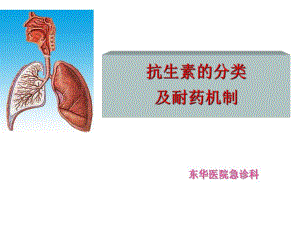 抗生素的分类及耐药机制名师编辑PPT课件.ppt
