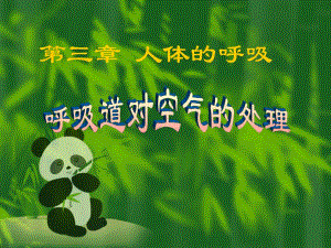 呼吸道对空气的处理.ppt