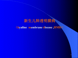 新生儿肺透明膜病.ppt