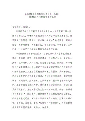 镇2023年主题教育工作汇报(二篇).docx