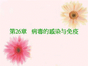第2627章病毒的感染免疫诊断.ppt