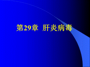 第29章肝炎病毒名师编辑PPT课件.ppt