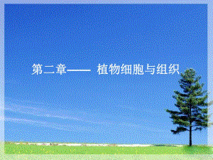 第2章1植物细胞.ppt