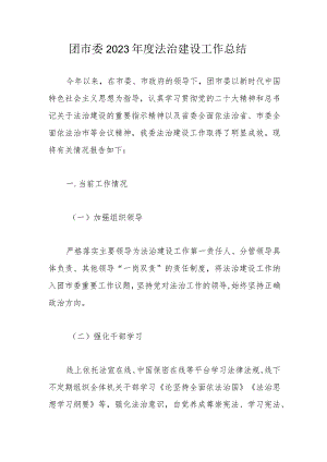 团市委2023年度法治建设工作总结.docx