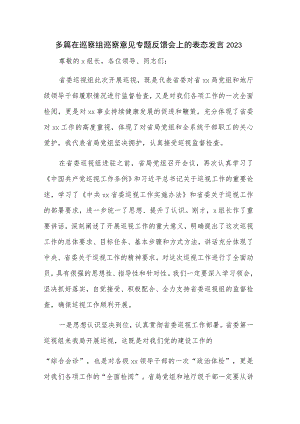 多篇在巡察组巡察意见专题反馈会上的表态发言2023.docx