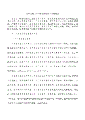 大学高校23年教育活动班子剖析检查.docx