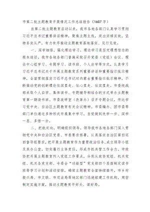 市第二批主题教育开展情况工作总结报告.docx