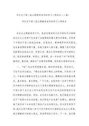 市长关于第二批主题教育读书班学习心得体会(二篇).docx
