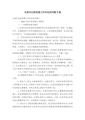 支部书记抓党建工作存在的问题5篇.docx