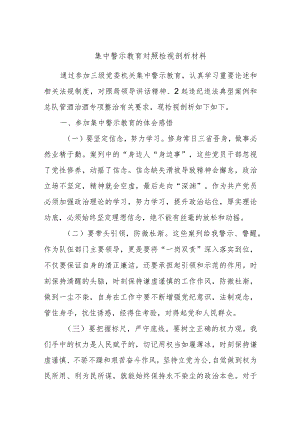 集中警示教育对照检视剖析材料 .docx