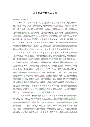 巡察整改评估报告8篇.docx