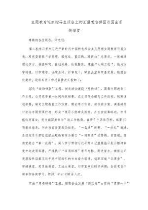 主题教育巡回指导座谈会上的汇报发言供国资国企系统借鉴.docx