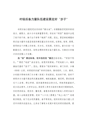 村级后备力量队伍建设要定好“步子”.docx