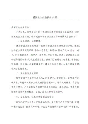 爱国卫生自查报告14篇.docx