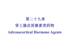 第29章肾上腺皮质激素.ppt
