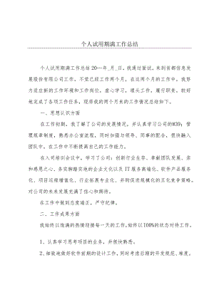 个人试用期满工作总结.docx