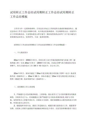 试用转正工作总结试用期转正工作总结试用期转正工作总结模板.docx