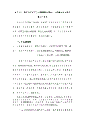 关于2023年五学五查五改专题组织生活会个人检视材料对照检查材料范文.docx