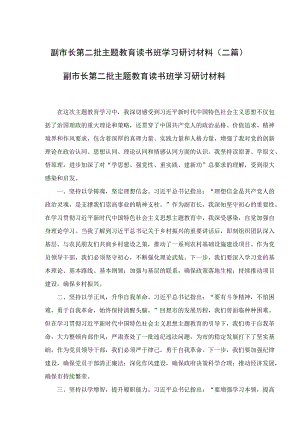 副市长第二批主题教育读书班学习研讨材料(二篇).docx