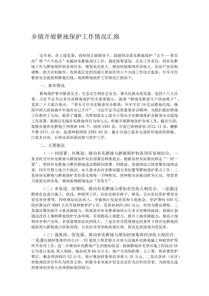 乡镇开展耕地保护工作情况汇报.docx