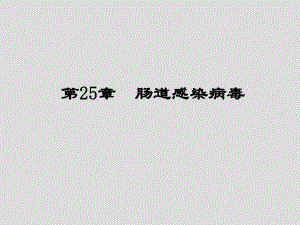 第25章肠道感染病毒名师编辑PPT课件.ppt