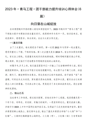 2023年“青马工程”团干部能力提升培训心得体会（6篇）.docx