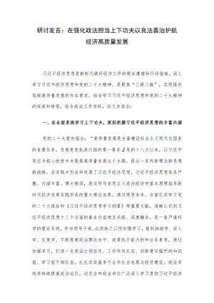 研讨发言：在强化政法担当上下功夫 以良法善治护航经济高质量发展.docx