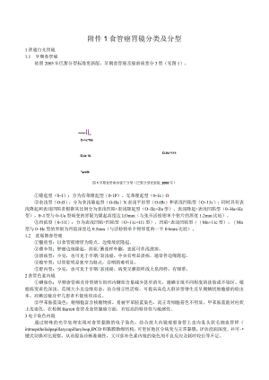 食管癌胃镜分类及分型.docx