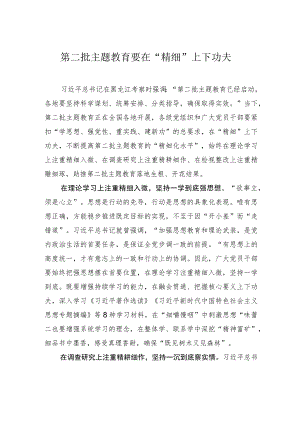 第二批主题教育要在“精细”上下功夫.docx
