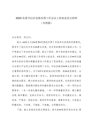 2023党委书记在巡察反馈工作会议上的表态发言材料（共两篇）.docx