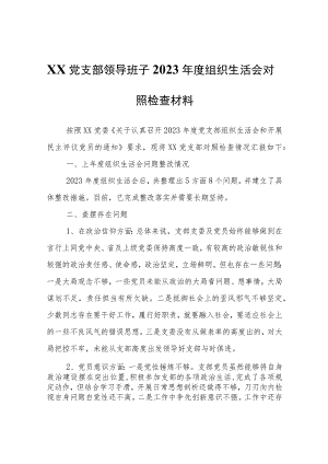 xx党支部领导班子2023年度组织生活会对照检查材料.docx
