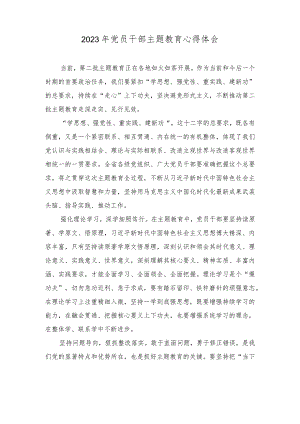 （3篇）2023年党员干部主题教育心得体会（“学思想、强党性、重实践、建新功”）.docx