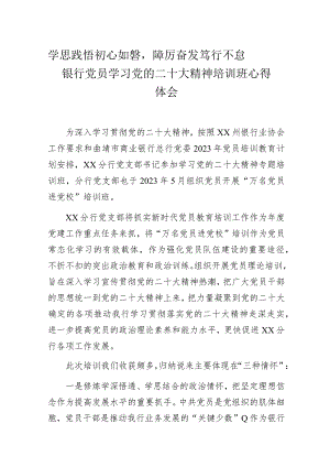学思践悟初心如磐踔厉奋发笃行不怠——银行党员学习党的二十大精神培训班心得体会.docx