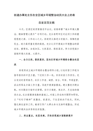 街道办事处主任在全区城乡环境整治动员大会上的表态发言范文稿.docx