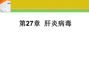 第27章肝炎病毒精品PPT课件名师编辑PPT课件.ppt