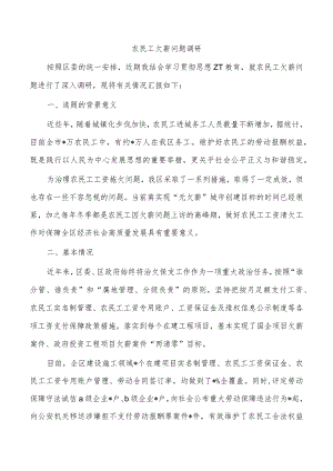 农民工欠薪问题调研.docx
