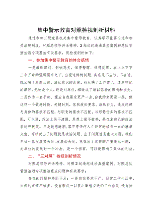 集中警示教育对照检视剖析材料.docx