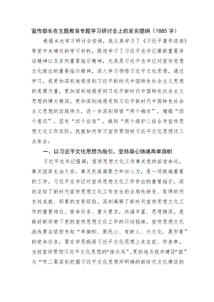 宣传部长在主题教育专题学习研讨会上的发言提纲.docx