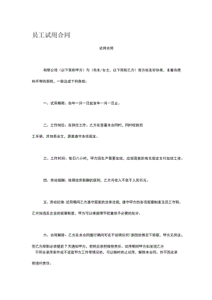 员工试用合同.docx