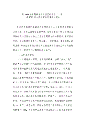 局2023年主题教育推进情况的报告(二篇).docx