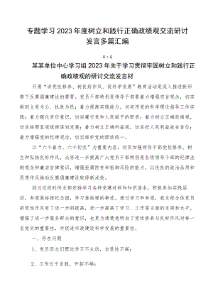 专题学习2023年度树立和践行正确政绩观交流研讨发言多篇汇编.docx