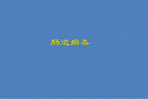 第26章肠道病毒.ppt